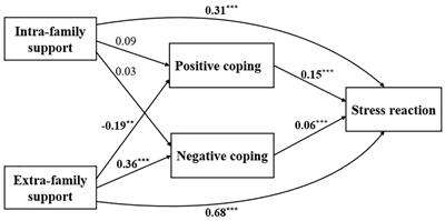 Influence of social support and coping strategies on psychological stress among frontline medical personnel during the Yangbi Earthquake: a cross-sectional analysis